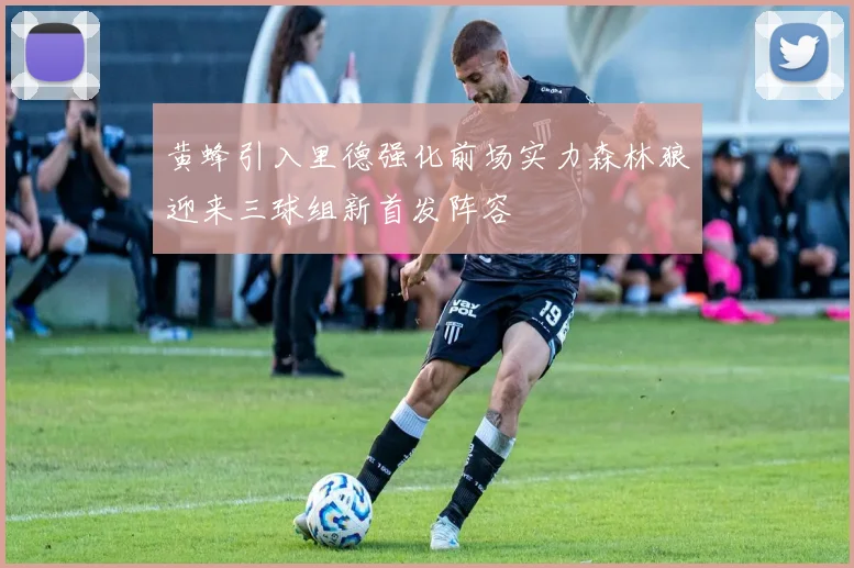 黄蜂引入里德强化前场实力森林狼迎来三球组新首发阵容